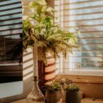 resized_120763